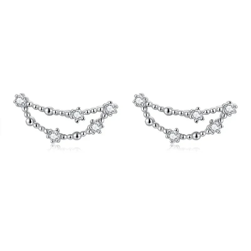 12 Constellations Zodiac Sign Earrings for Women Capricorn