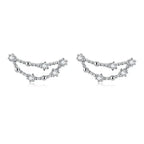 12 Constellations Zodiac Sign Earrings for Women Capricorn