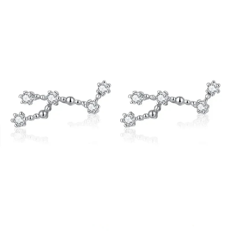 12 Constellations Zodiac Sign Earrings for Women Leo