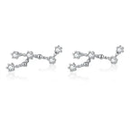 12 Constellations Zodiac Sign Earrings for Women Leo