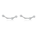 12 Constellations Zodiac Sign Earrings for Women Pisces