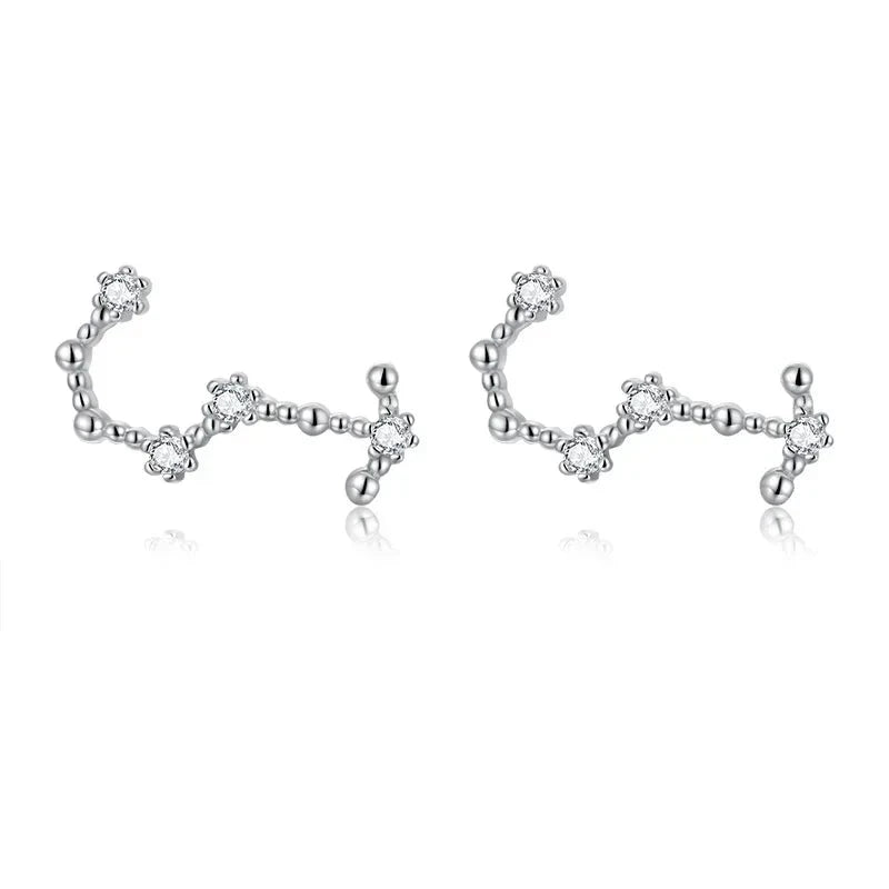 12 Constellations Zodiac Sign Earrings for Women Scorpio