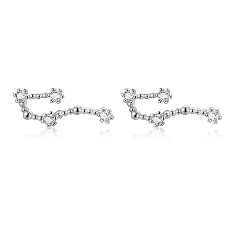 12 Constellations Zodiac Sign Earrings for Women Aquarius