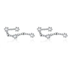 12 Constellations Zodiac Sign Earrings for Women Aquarius