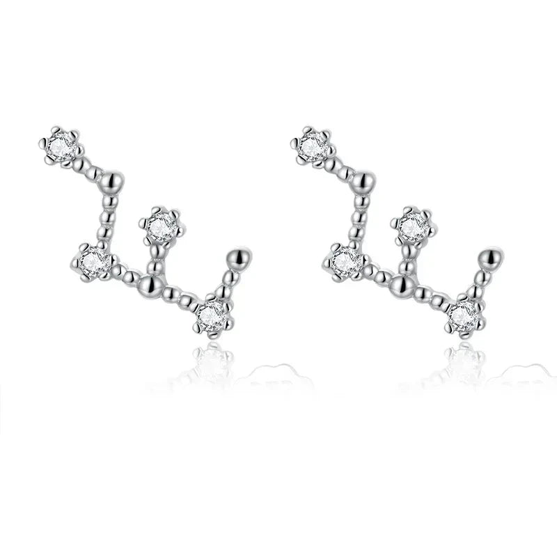 12 Constellations Zodiac Sign Earrings for Women Virgo