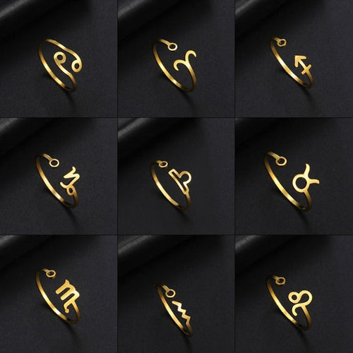 Zodiac-tegn ring 12 konstellationer herre ring astrologi